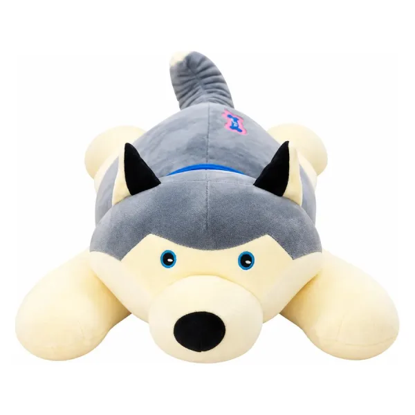 Chó husky nằm